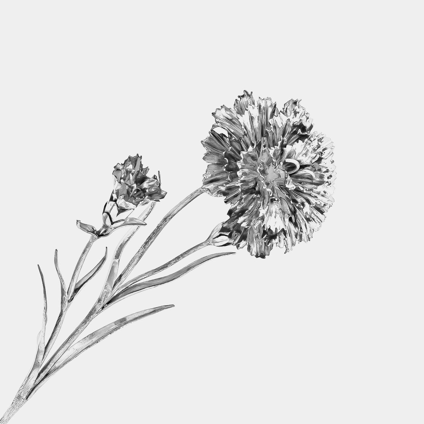 Stylish silver carnation, silver 925/1000, 130 g – ANTORINI®, image size:1400x1400