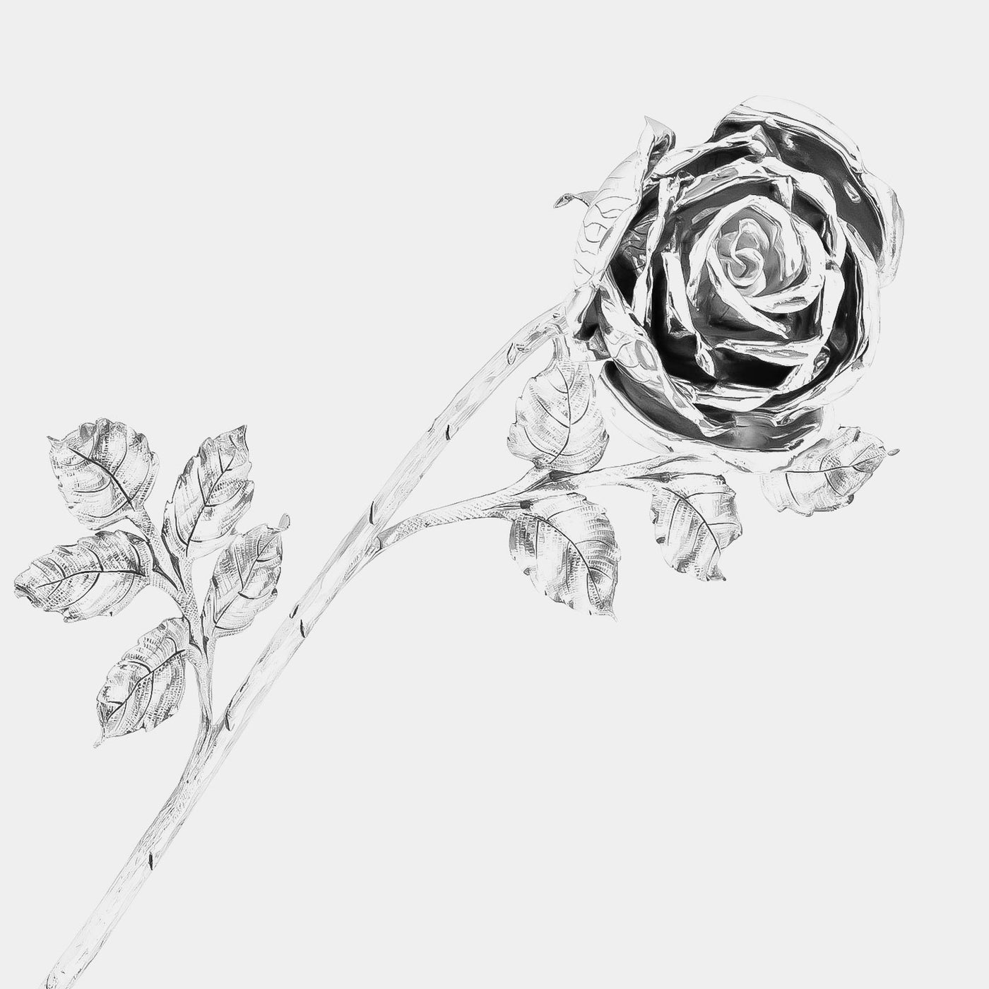 Stylish silver Rose, silver 925/1000, 200 g – ANTORINI®